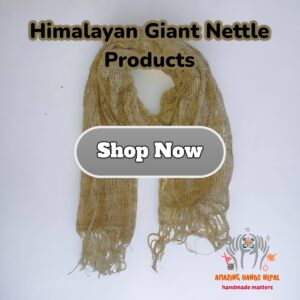 Himalayan Giant Nettle Products