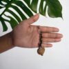 Conch Symbol Keyring