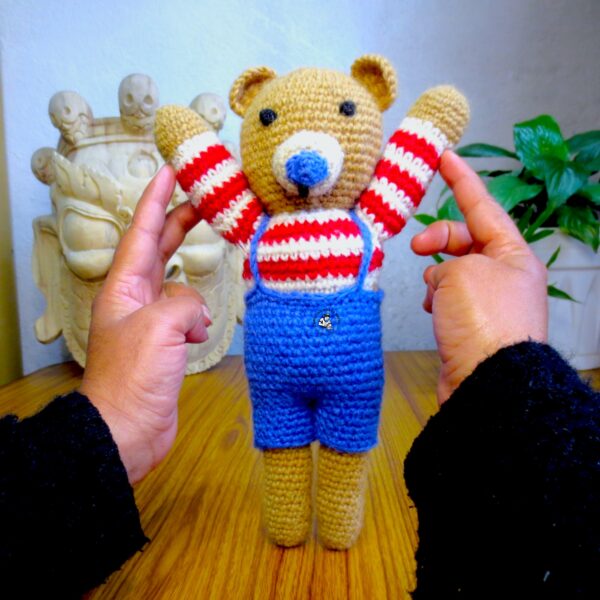 Teddy Bear Toy