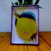 Nepali Colorful Bodhi Leaves Garland