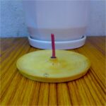 Natural Wooden Incense Holder Natural Wooden Incense Holder