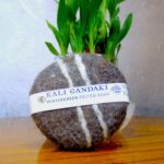 Kali Gandaki Wintergreen Soap