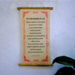 The True Meaning Of Life H.H. Dalai Lama Quotes Wall Décor
