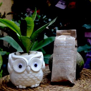 Khachoe Ghakyl Ling Nunnery Lawudo Incense Powder