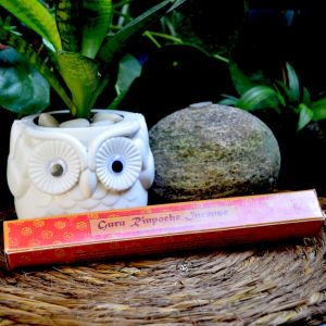 Khachoe Ghakyl Ling Nunnery Pure Land Guru Rinpoche Incense