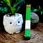 Pure Land Tibetan Meditation Incense