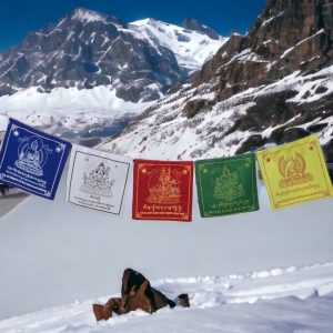 Tibetan Deity Prayer Flag