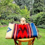 Nepali Dhaka Pattern Woolen Shawl